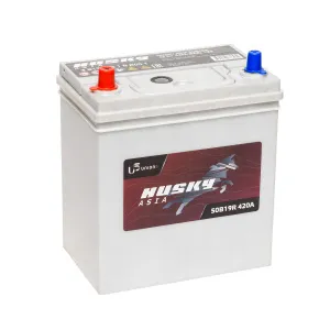 HUSKY Asia 50B19R