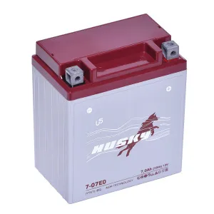 HUSKY 7 Ач 12В Китай