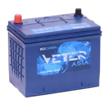 VETER ASIA 110D26L B08